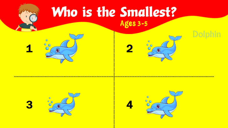 Identify the Animal: Who is the Smallest?