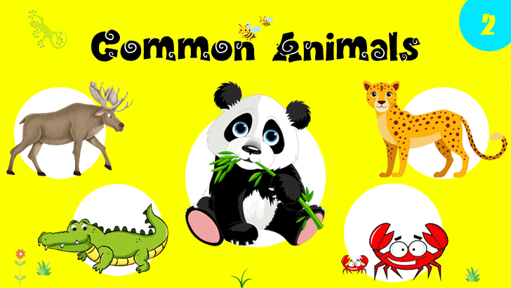30 Most Common Animals Quiz (2)