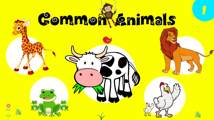 30 Most Common Animals Quiz (1)