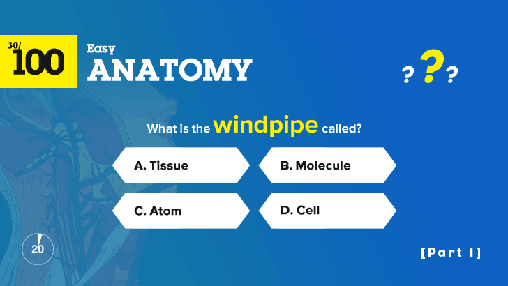100 Easy Anatomy Questions Quiz (1)