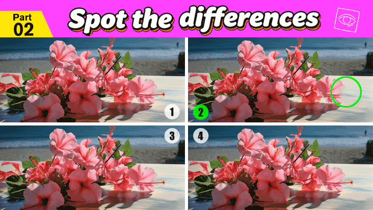 Only 5% Can Spot the Difference – Round 2