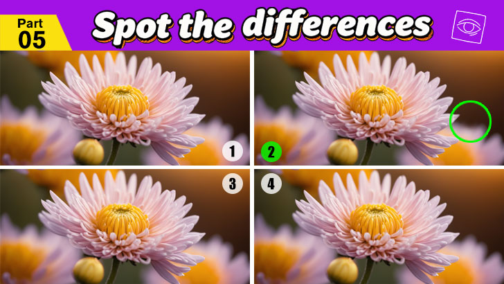 Only 5% Can Spot the Difference – Round 5