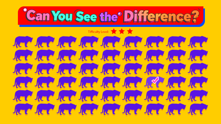 Spot the Odd Color: Tiger Edition (L3)