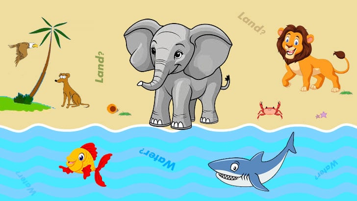 20 Aquatic Animals Quiz for Kids