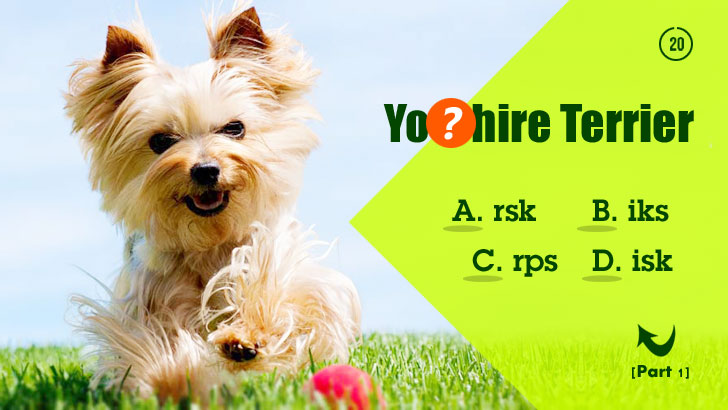 Guess Wrong, Get a Whole New Dog (Part 1)