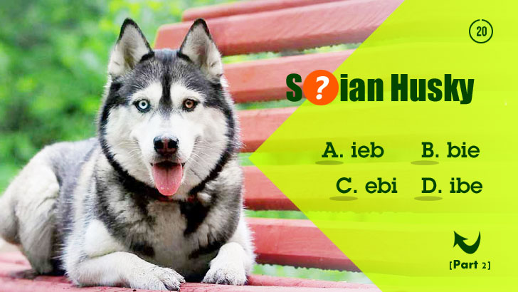 Guess Wrong, Get a Whole New Dog (Part 2)