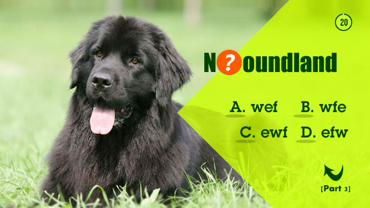 Guess Wrong, Get a Whole New Dog (Part 3)