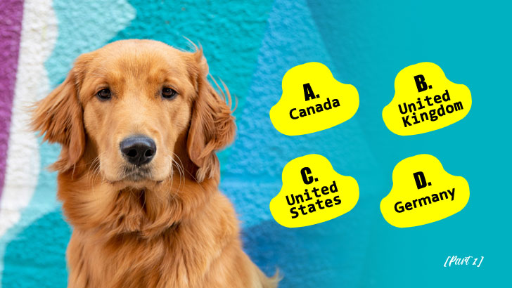 Guess Each Dog Breed’s True Birthplace (Part 1)