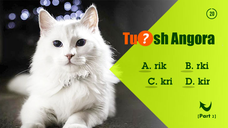 40 Cat Breeds, Letters on the Loose! (Part 2)